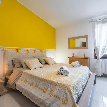 Mavi * 콰르투치우